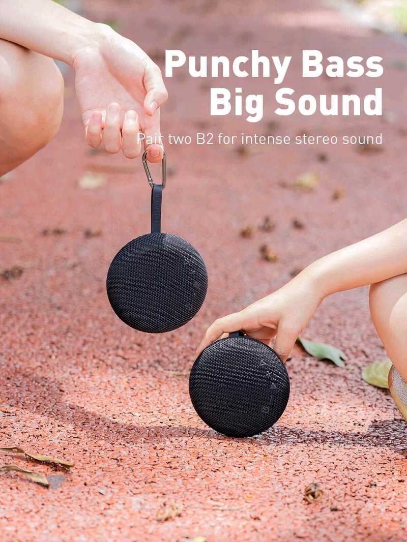 portable Bluetooth speaker